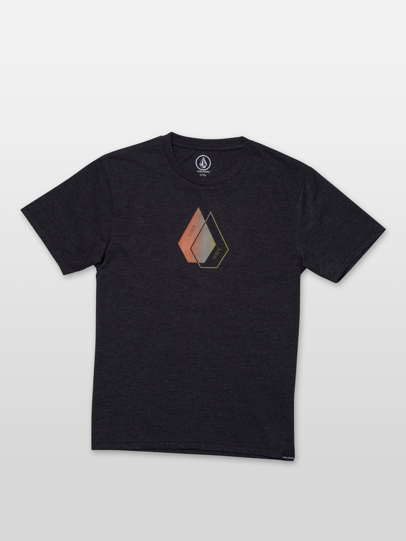 Disclose T-shirt - Heather Black (C5731952_HBK) [F]